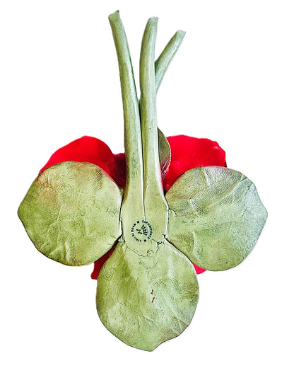 Capodimonte Roses on a Leaf Red 8" Porcelain Flower Hand Made and hand painted in Italy