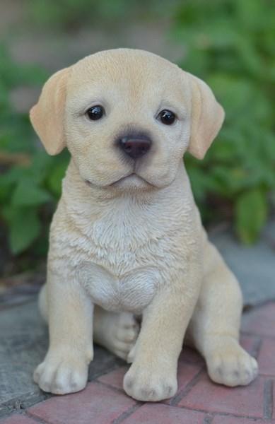 Puppy Golden Labrador Sitting Dog Figurine 6.5"